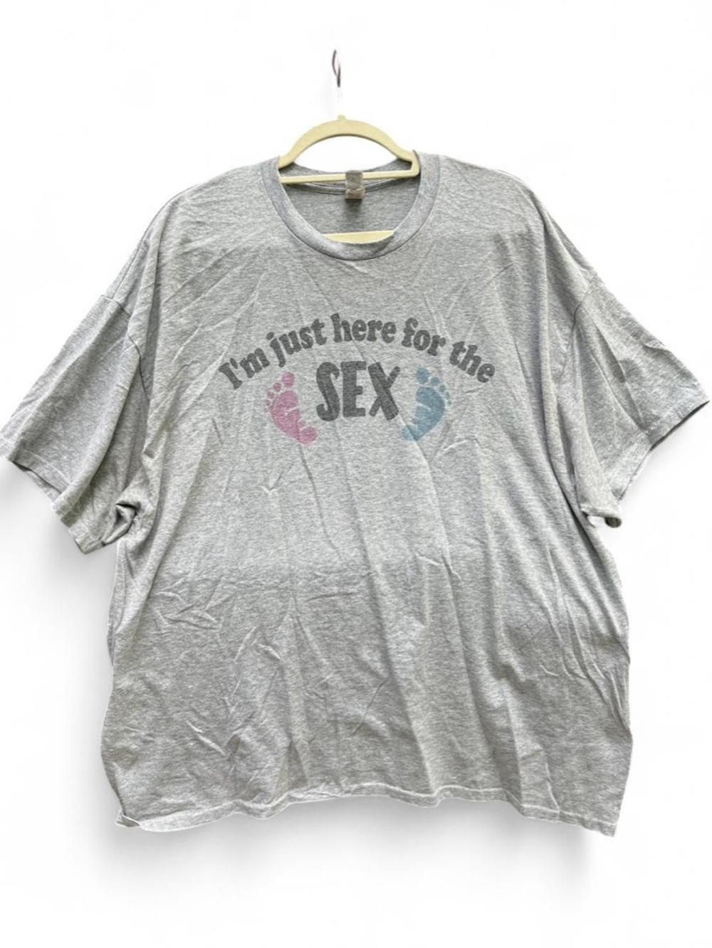 Gildan Gray Tee with Pink & Blue Accent Graphic